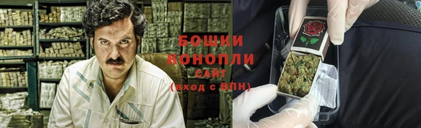 бошки Алексин