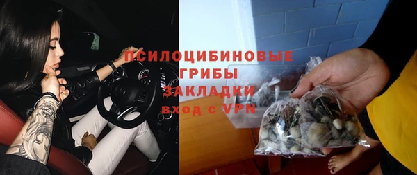 тгк Михайлов