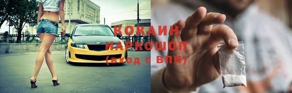 бошки Алексин
