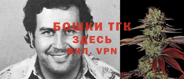 бошки Алексин