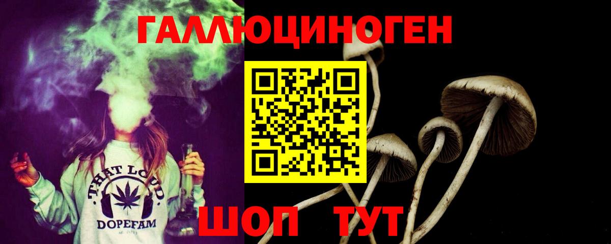 Галлюциногенные грибы прущие грибы Невинномысск