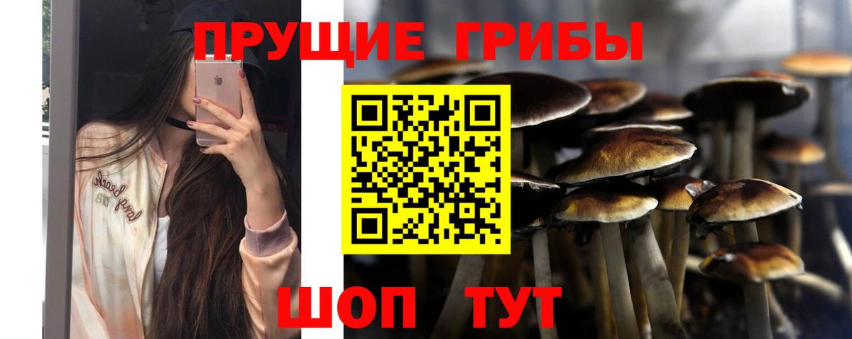 Невинномысск  Галлюциногенные грибы GOLDEN TEACHER  Галлюциногенные грибы ЛСД  Вход с VPN 